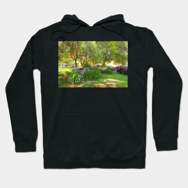 Jardim  Higino César de Campos. Garden. Hoodie by terezadelpilar